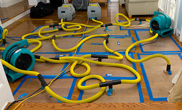 Professional Crawl Space Water Removal technician working in Echo Lake, CA